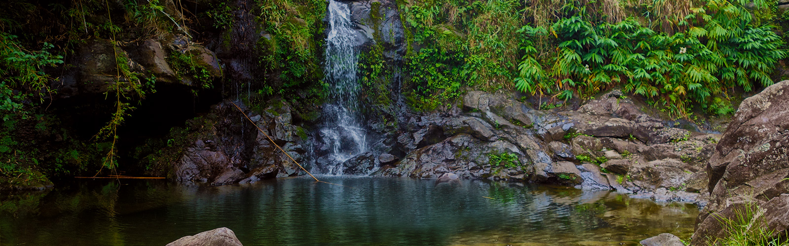 Tips for Hiking Na’Ili’Ili-Haele (Bamboo Forest) – Maui